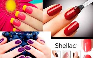 How to make shellac correctly: step-by-step instructions