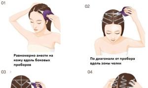 „Pasidaryk pats“ galvos odos šveitimas neišeinant iš namų Galvos odos šveitimas riebiems plaukams