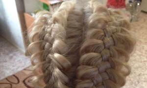How to weave a five-strand braid according to the pattern (for beginners) 5-strand braid hairstyles