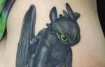 Dragon tattoo: features and ideas