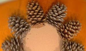 New Year's compositions from pine cones: beauty given by nature