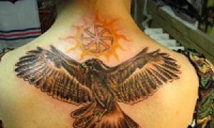 Sólyom tetoválás Sólyom rajz tetoválás